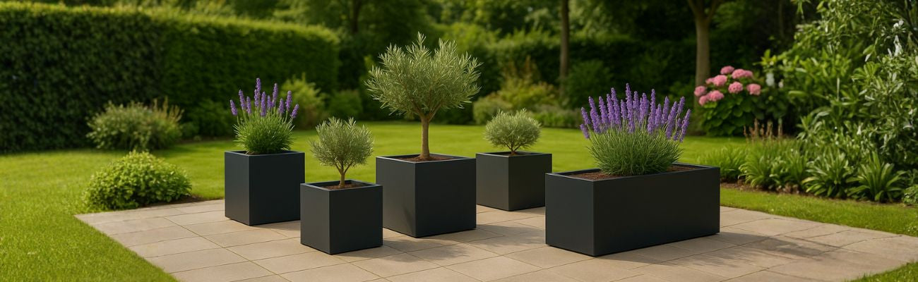 Hoe kiest u de juiste plantenbakmaat voor uw tuin of terras?