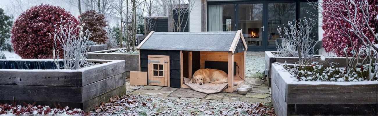 Voordelen van een verwarmd hondenhok - Doika