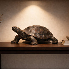 Collection image for: Bronzen Schildpad