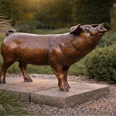Collection image for: Bronzen varken