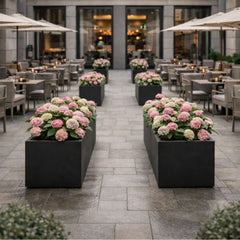 Collection image for: Plantenbakken horeca
