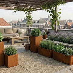 Collection image for: Plantenbakken voor kruiden