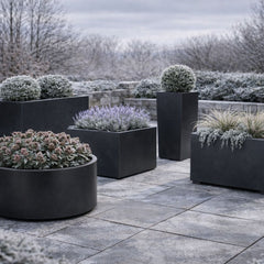 Collection image for: Vorstbestendige bloempot