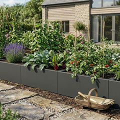 Collection image for: Plantenbakken voor Moestuin