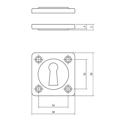 Rosace Intersteel trou de serrure carré nickel mat 