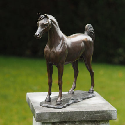 Bronzen beeld Arabisch paard 30x9x33cm