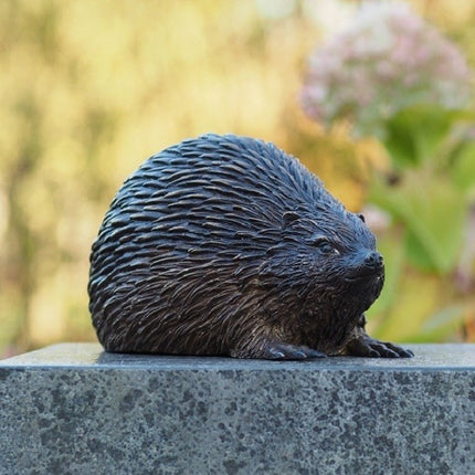 Bronzen beeld Egel 13x13x23cm