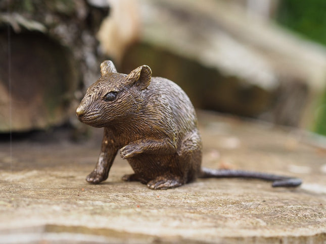 Bronzen beeld Muis 6x4x13cm