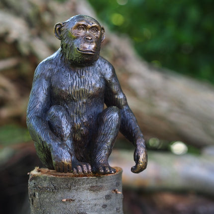 Bronzen beeld Chimpansee 15x9x12cm