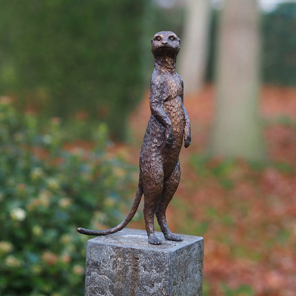 Bronzen beeld Stokstaartje 28x9x14cm