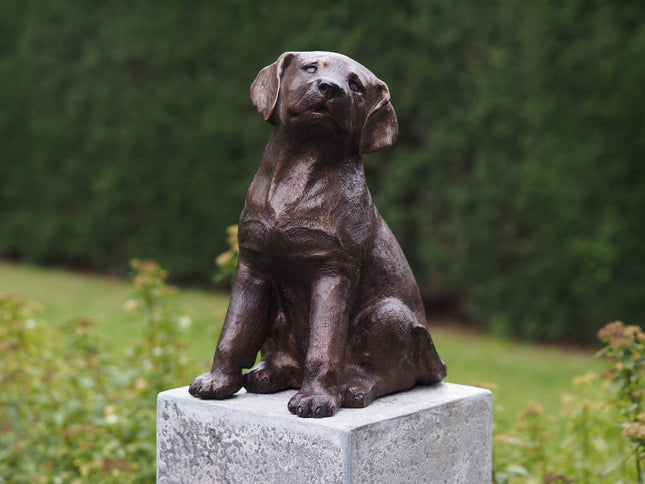 Bronzen beeld Puppy 35x19x25cm