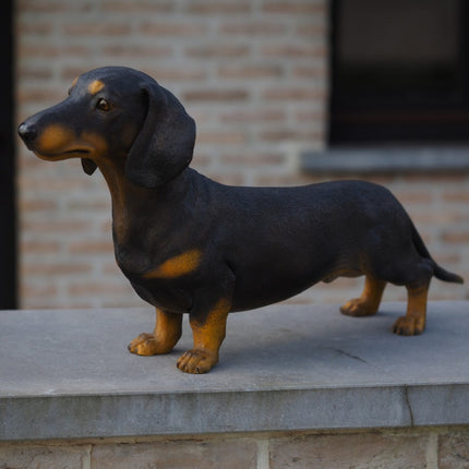 Bronzen beeld Tekkel Gekleurd 33x17x69cm