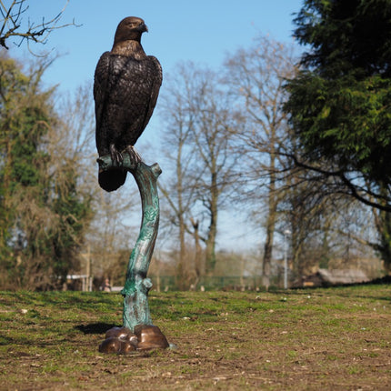 Bronzen beeld Arend 177x43x48cm