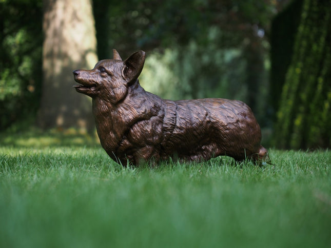 Bronzen beeld Corgi 44x28x62cm