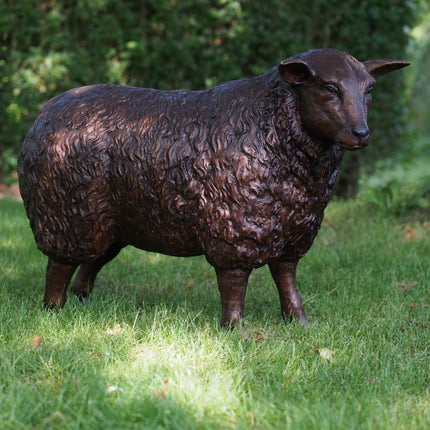 Bronzen beeld Schaap 59x30x80cm