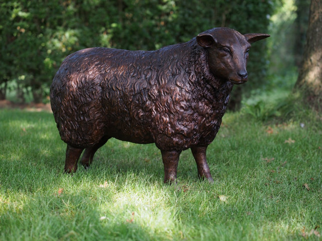 Bronzen beeld Schaap 59x30x80cm