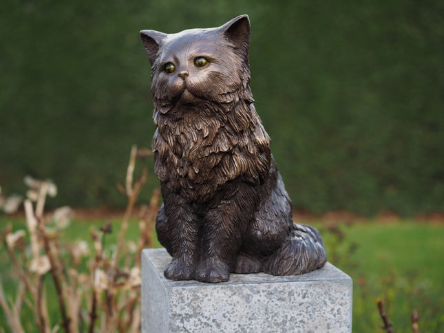Bronzen beeld Perzische kat 29x21x36cm