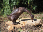 Bronzen beeld Staande eend 56x23x32cm