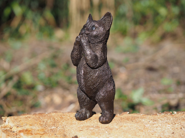 Bronzen beeld Kitten 24x9x9cm