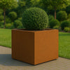 Geroba Quadra cortenstalen plantenbak vierkant 100x100x100cm 89kg