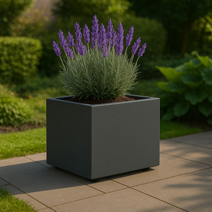 Jardinière en polyester GARDRA 60x60x60 cm - Noir-gris (RAL 7021)