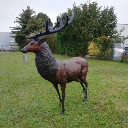 Bronzen beeld Groot hert 210x100x200cm 120kg