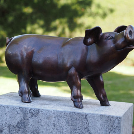 Bronzen beeld Biggetje 35x30x67cm 7kg