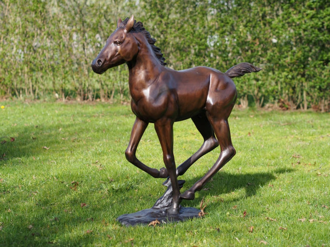 Bronzen beeld Lopend veulen 108x35x113cm 40kg