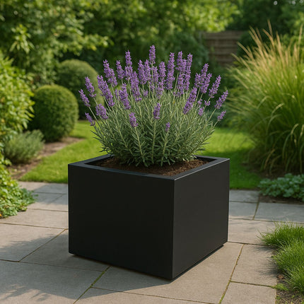 Polyester plantenbak 60x60x40 cm - Gitzwart (RAL 9005)