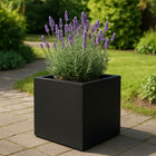 Polyester plantenbak 50x50x50 cm - Gitzwart (RAL 9005)