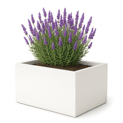 Polyester plantenbak 60x40x40 cm - Zuiver Wit (RAL 9010)