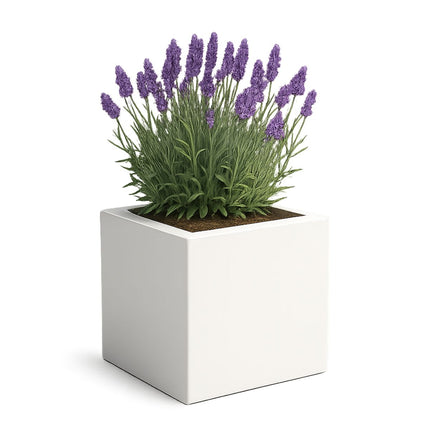 Polyester plantenbak 60x60x60 cm - Zuiver Wit (RAL 9010)