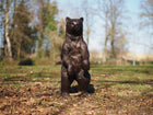 Bronzen beeld Beren welp 91x33x40cm - Doika - Bronzen beeld - Thermobrass - 5410807914786 - B1478-3