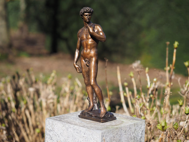 Bronzen beeld David van Michelangelo 30cm 30x6x10cm - Doika - Bronzen beeld - Doika - 5410807915295 - BS1529B-S