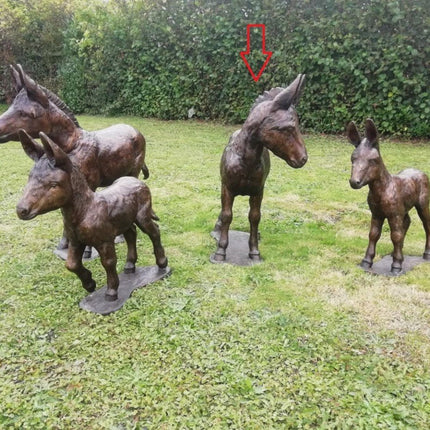 Bronzen beeld Ezel 120x40x90cm 55kg - Doika - Bronzen beeld - Doika - 5410807119228 - PB61192-2