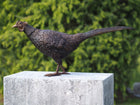Bronzen beeld Fazant 34x18x75cm - Doika - Bronzen beeld - Doika - 5410807013298 - AN1329BR-B