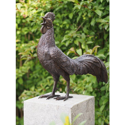 Bronzen beeld Haan 50x25x53cm - Doika - Bronzen beeld - Doika - 5410807004845 - AN0484BR-B