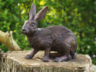 Bronzen beeld Konijn 28x16x34cm - Doika - Bronzen beeld - Doika - 5410807982402 - AN9824BR-B