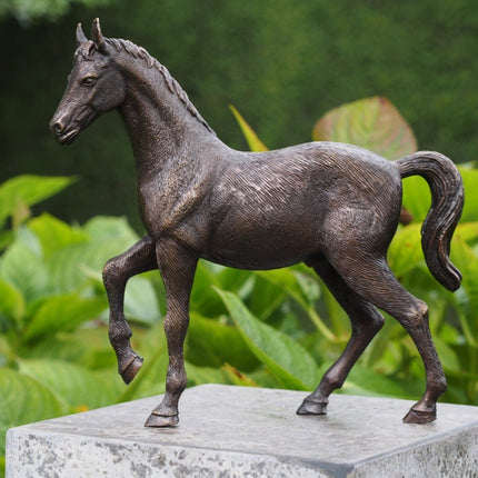 Bronzen beeld Paard 27x6x29cm - Doika - Bronzen beeld - Doika - 5410807013557 - BS1355B