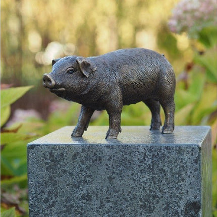 Bronzen beeld Varken 12x8x25cm - Doika - Bronzen beeld - Doika - 5410807211700 - AN1170BRW-B