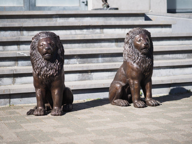 Bronzen beeld Zittende leeuw 80x37x58cm - Doika - Bronzen beeld - Doika - 5410807015193 - B1519
