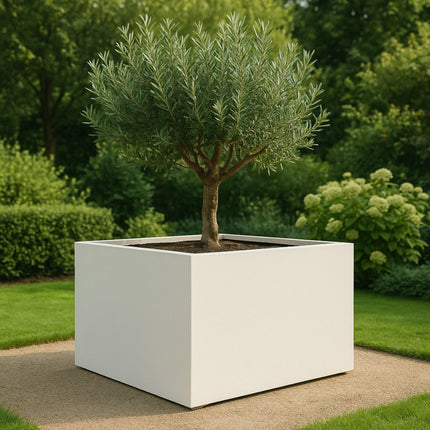 GARDRA Polyester plantenbak 140x140x80 cm - Zuiver Wit (RAL 9010) - Doika - Plantenbak - GARDRA -  - DOIKA-AP-12-RAL-9010