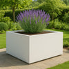 GARDRA Polyester plantenbak 160x160x80 cm - Zuiver Wit (RAL 9010) - Doika - Plantenbak - GARDRA -  - DOIKA-AP-16-RAL-9010