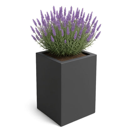 GARDRA Polyester plantenbak 50x50x80 cm - Zwartgrijs (RAL 7021) - Doika - Plantenbak - GARDRA -  - DOIKA-CP-1.1 7021