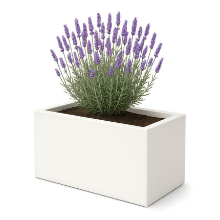 GARDRA Polyester plantenbak 80x40x40 cm - Zuiver Wit (RAL 9010) - Doika - Plantenbak - GARDRA -  - DOIKA-BP-42-RAL-9010