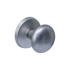 Intersteel Voordeurknop paddenstoel ø58mm op achterplaat ø66mm éénzijdige montage rvs getrommeld - Doika - Voordeurknoppen - Intersteel - 8714186696491 - 34,393,036