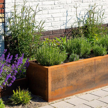 Adezz Andes Connect Cortenstalen Plantenbak zonder bodem 150x50x50 cm - Doika BV - Plantenbak - Adezz - CAWC23.1