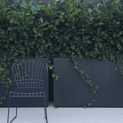 Adezz Buxus polyester plantenbak 100x40x80 cm - Doika - Plantenbak - Adezz - PB24.3