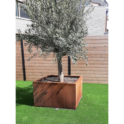 Geroba Artesa cortenstalen plantenbak vierkant 100x100x40cm 45kg - Doika BV - Plantenbak - Geroba - ArtesaZB8