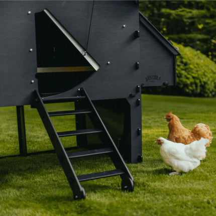 Nestera Kunststof Kippenhok Chicken House Raised Large 138x134x117cm - Doika BV - Kippenhok - Nestera - 010231 - 010231